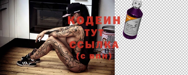 гидра Наволоки