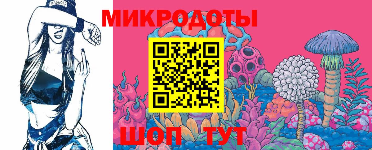 Псилоцибиновые грибы GOLDEN TEACHER Россия