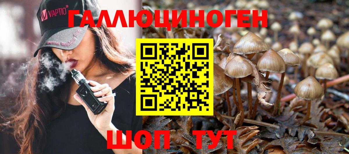 Россия  Галлюциногенные грибы Psilocybine cubensis  Вход с VPN 